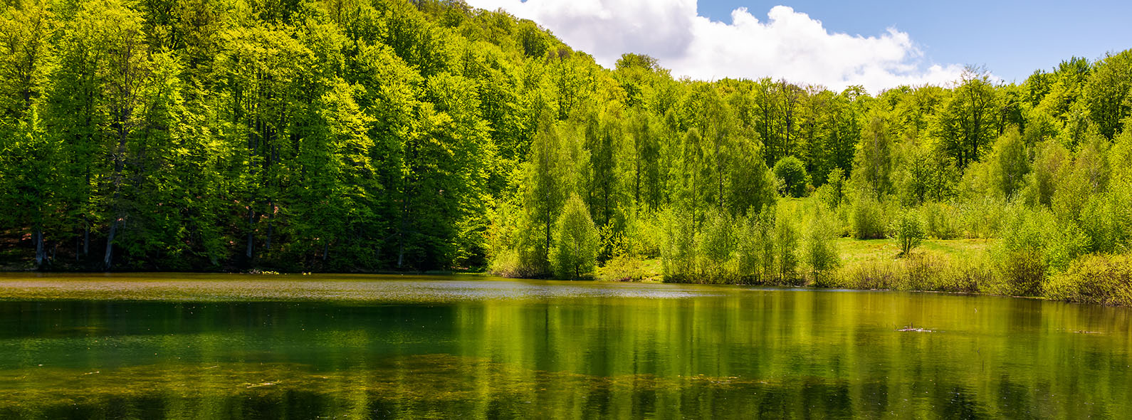 宁波凤凰永发印刷文具有限公司。